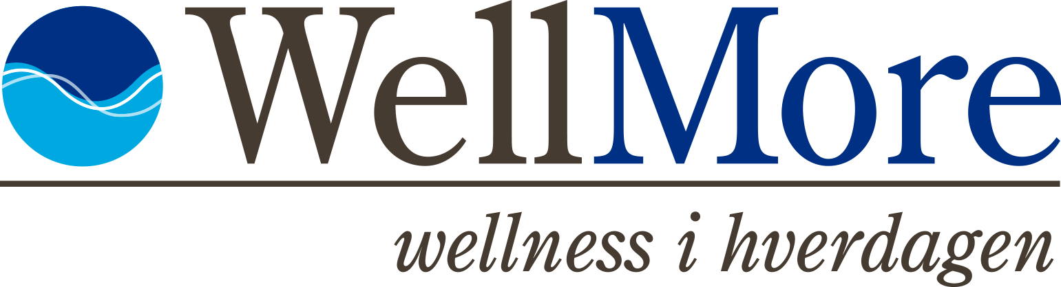 logo-std